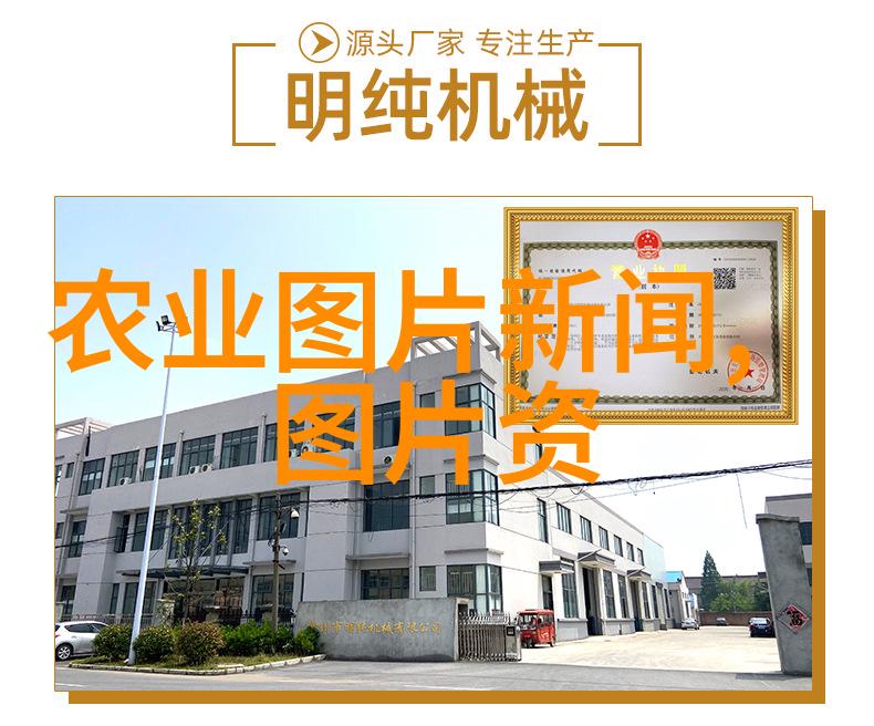 金线莲种植加盟从泥土到璀璨逆袭的花园梦想