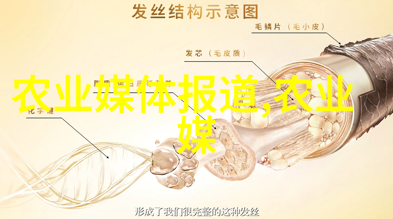 技术转化路径华南理工大学学报如何促进科技成果应用