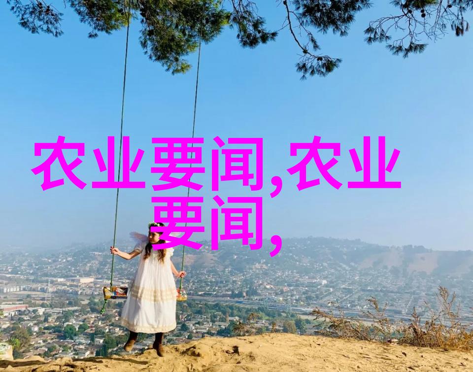 国内最好用途的秸秆还田机型号与应用分析