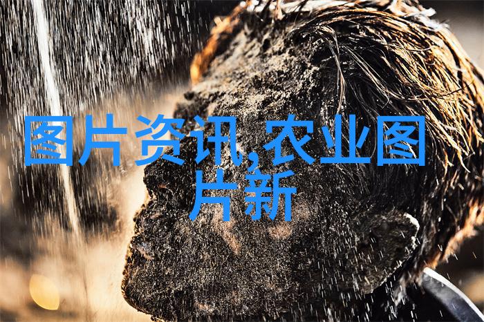 四川省林业厅多措并举推动林业科技成果转化