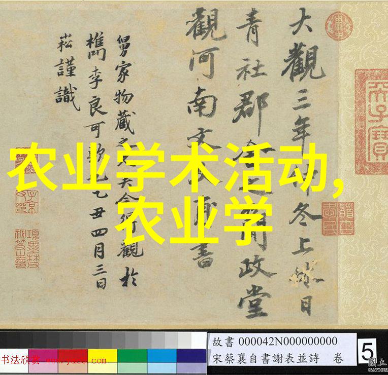 牧场上的亲密伙伴牛羊的故事
