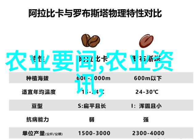 菌类美食探索从家常到高级的烹饪艺术