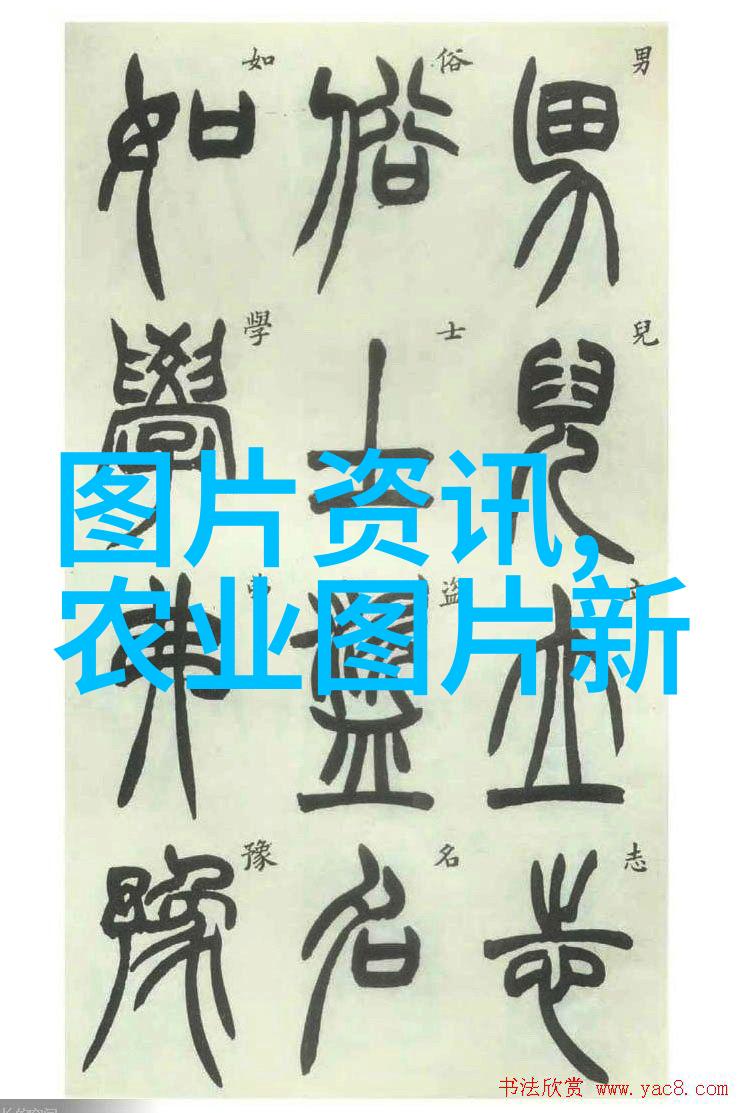花卉种植图片-春色满园探秘美丽花卉种植技巧与精彩图集