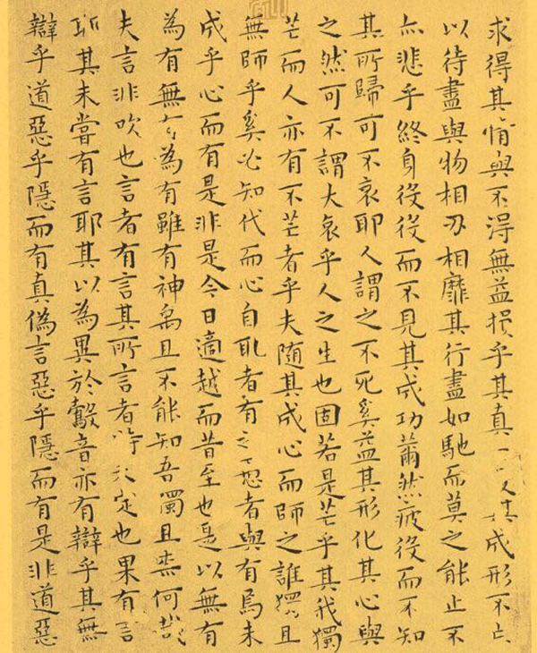 冤家豆类与其它蔬菜之谜解析