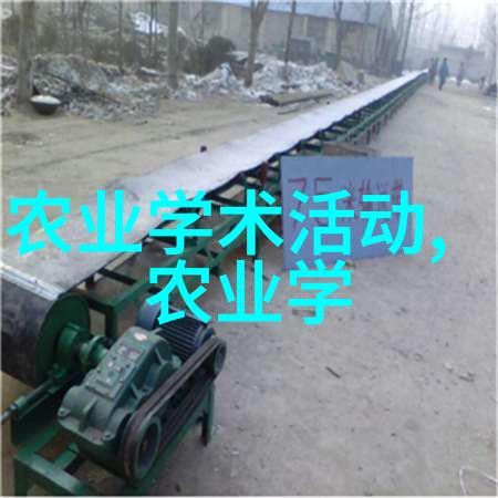 暴雪时分原著小说探索冰封皇城的秘密与魔法