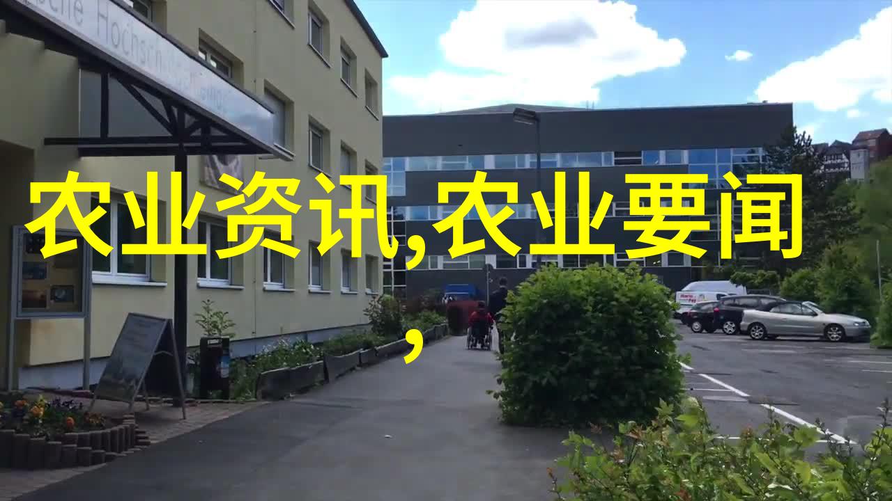 种植技巧全解从基础到高级的种植方法探秘