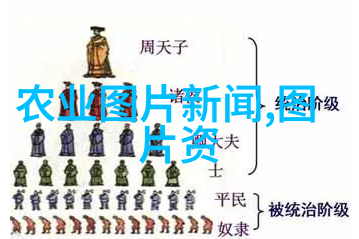 宠爱的边界探索非强迫型宠物关系的美好与挑战