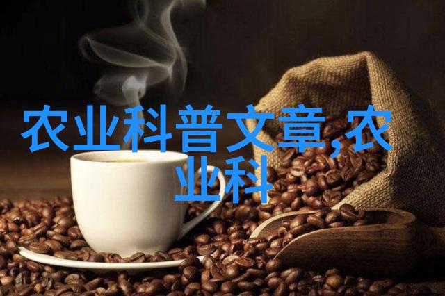 花瓣之舞盆栽中的色彩交响