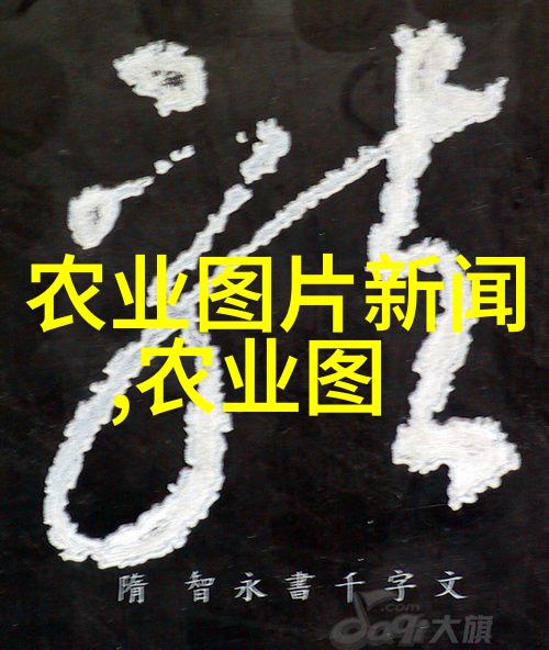 室内种植我是怎么让自己家的阳台变成一片绿洲的