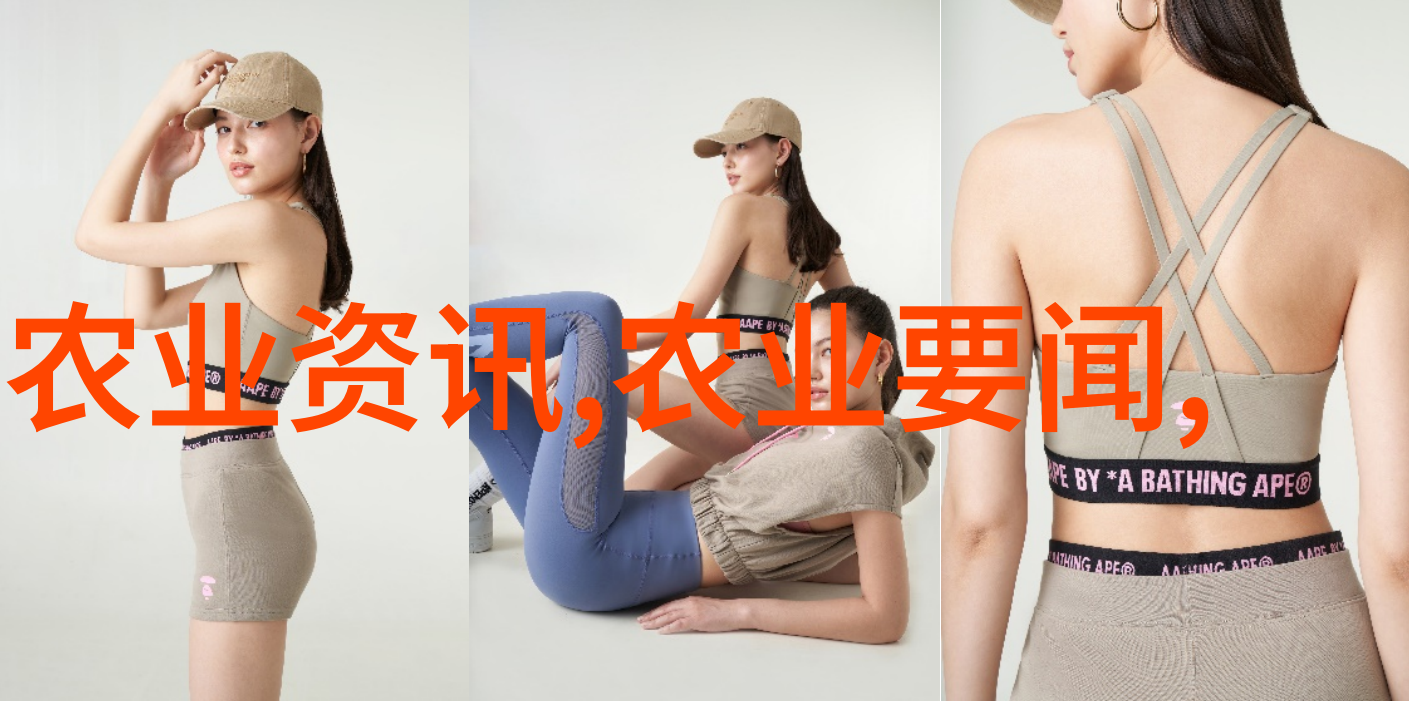 蔬菜的丰收季节种植时间表之美妙篇章