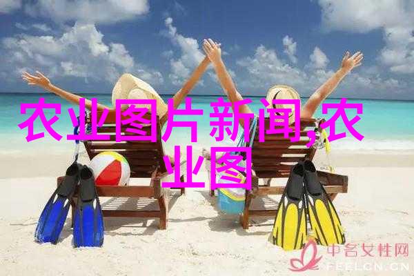 那些在市场需求上具有增长潜力的农产品值得我在2023年去大规模种植