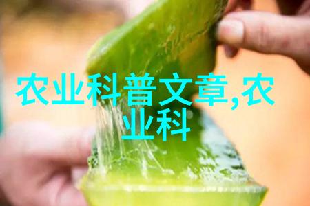 园林设计中的古典禁忌大门两旁不能有两棵树的秘密