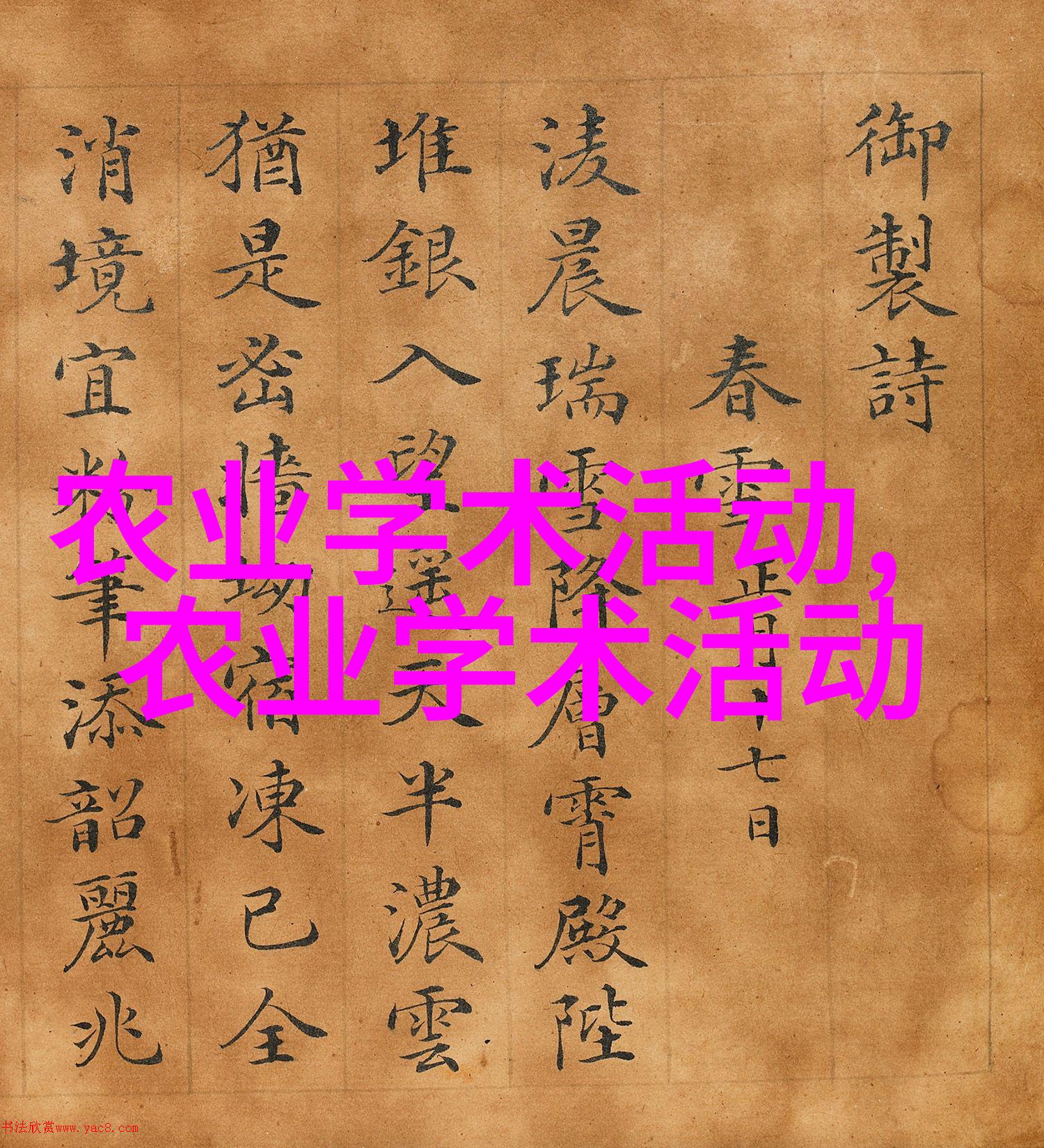 附子