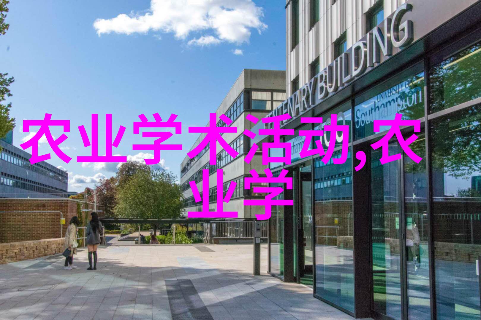亲手赚钱掌握种植客厅富贵草技术