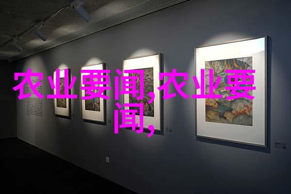 月光下的双轨生活4000工资背后的公积金交付之谜