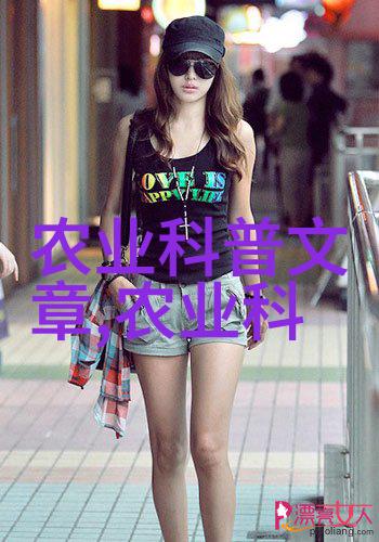 10公分美国红枫树小巧装饰价格与美学的完美结合
