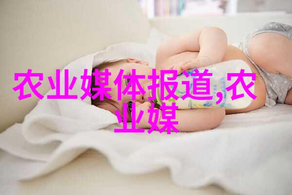 春日暖阳下的芽球菊苣鲜香与诗意的交响
