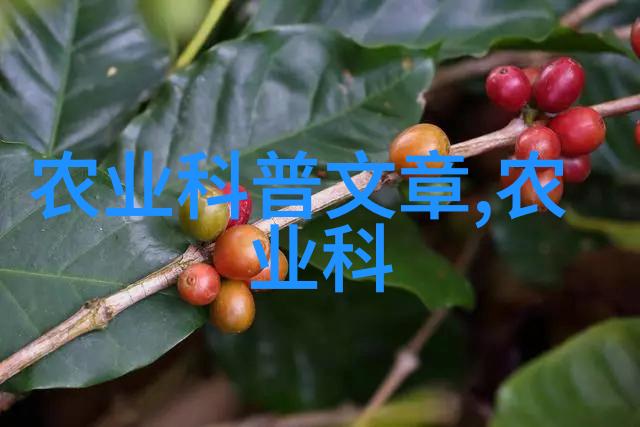 主题我来教你如何养牛蛙让它们在你的院子里快速繁殖和生长