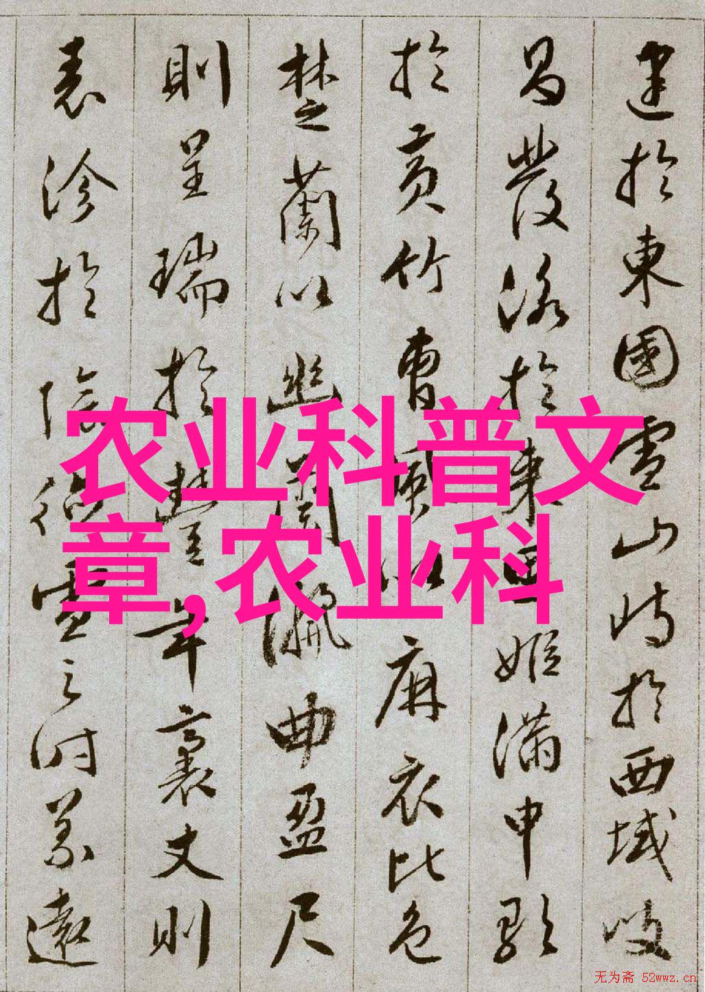 玉米种植亲自种玉米的乐趣和挑战