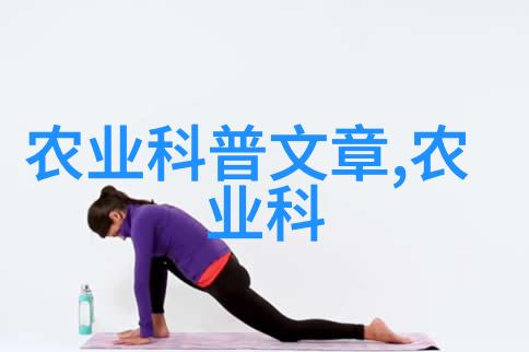 从古代到现代茶叶的历经沧桑与变革之旅
