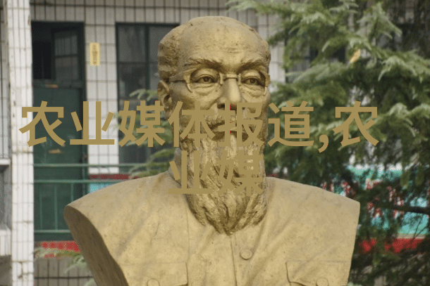 百句口诀种菜智慧解锁家园绿意盎然的秘诀