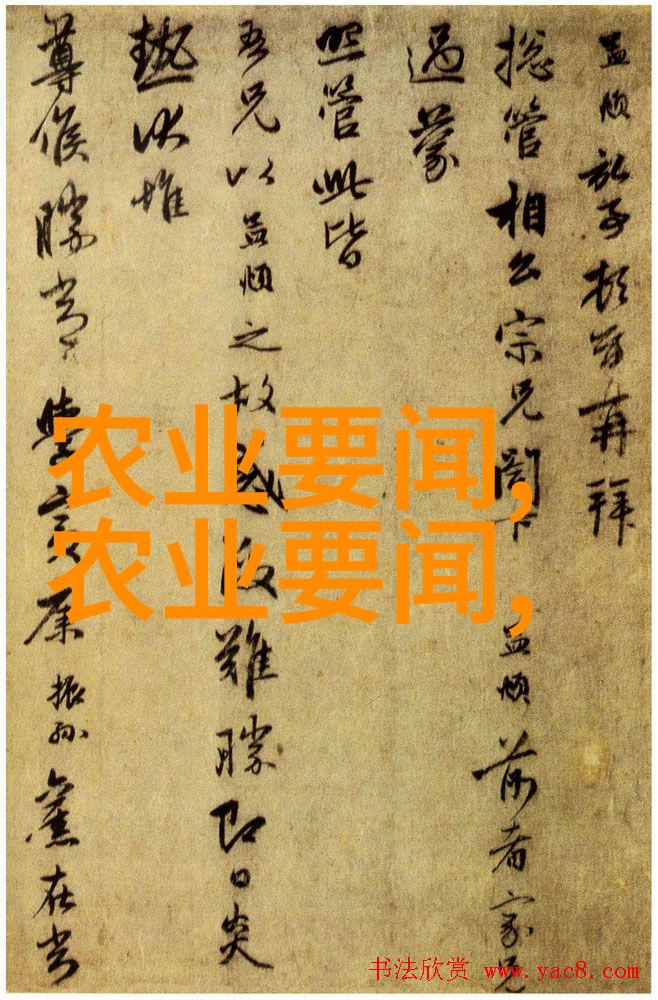 姜可的另一面未完待续的故事篇章