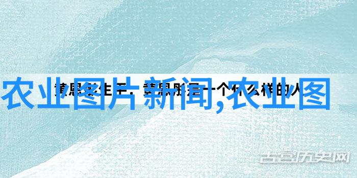 农村养殖新趋势多元化发展路线