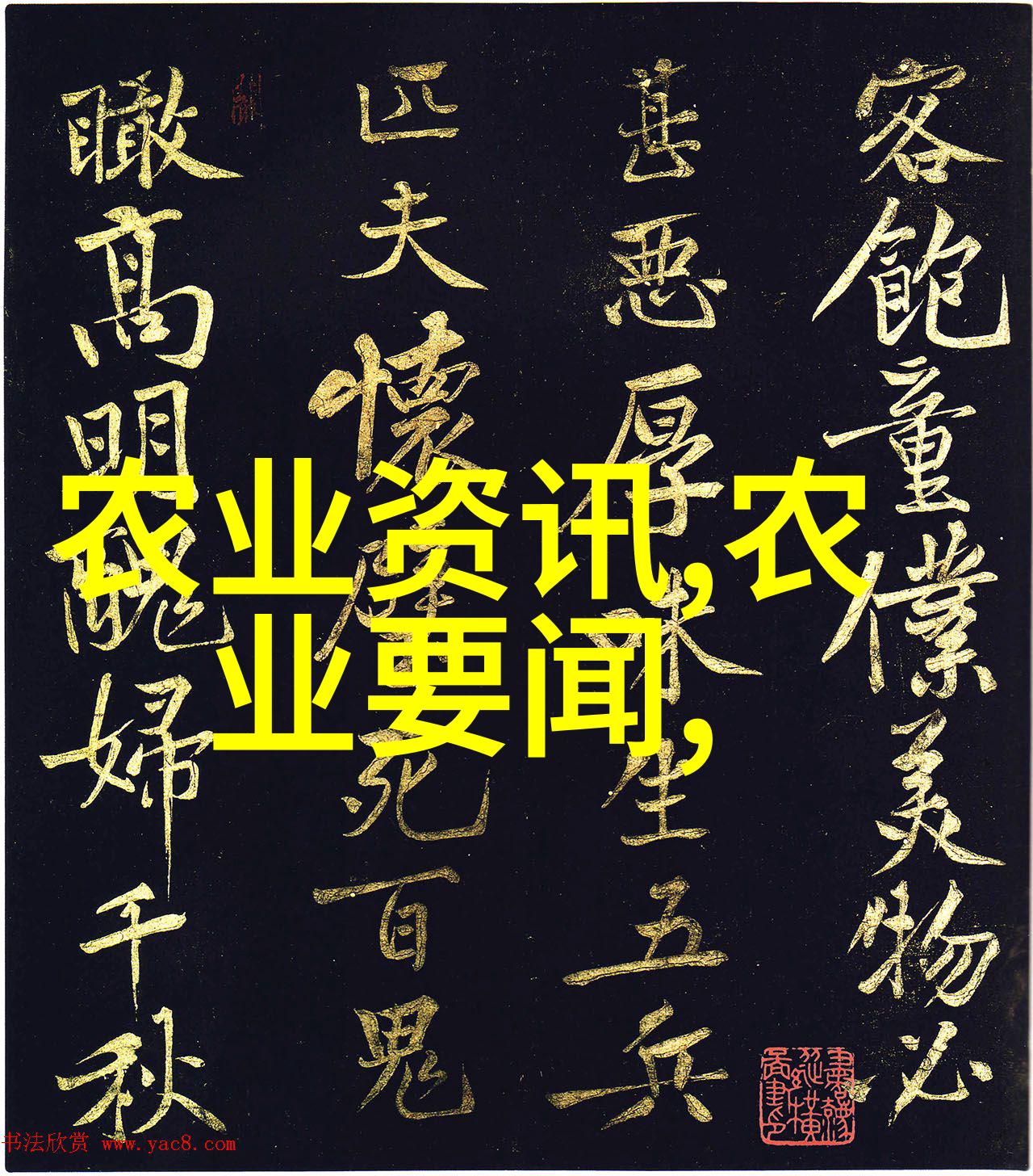 校园霸主的柔软背影校园生活中的强者之谜