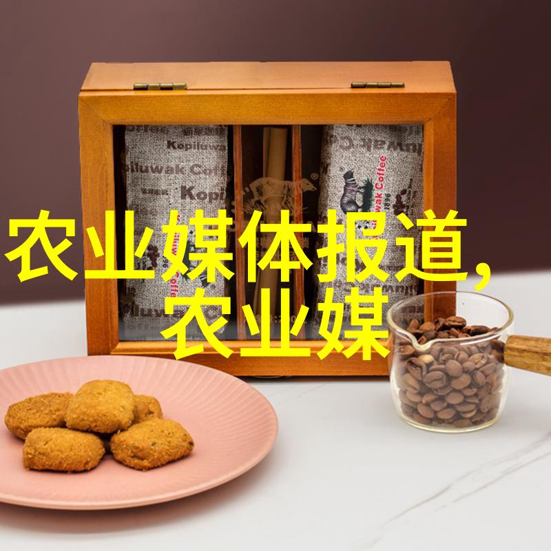 深夜影院里的秘密揭开AV电影背后的迷雾