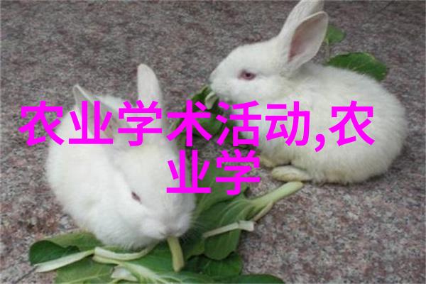 农药批发网优质产品安全使用