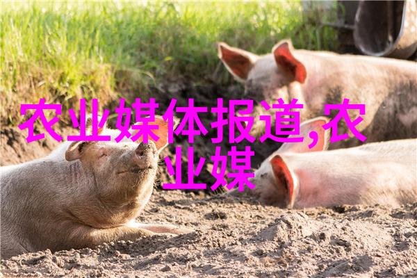 全球最大油泄事故背后的安全隐患探究