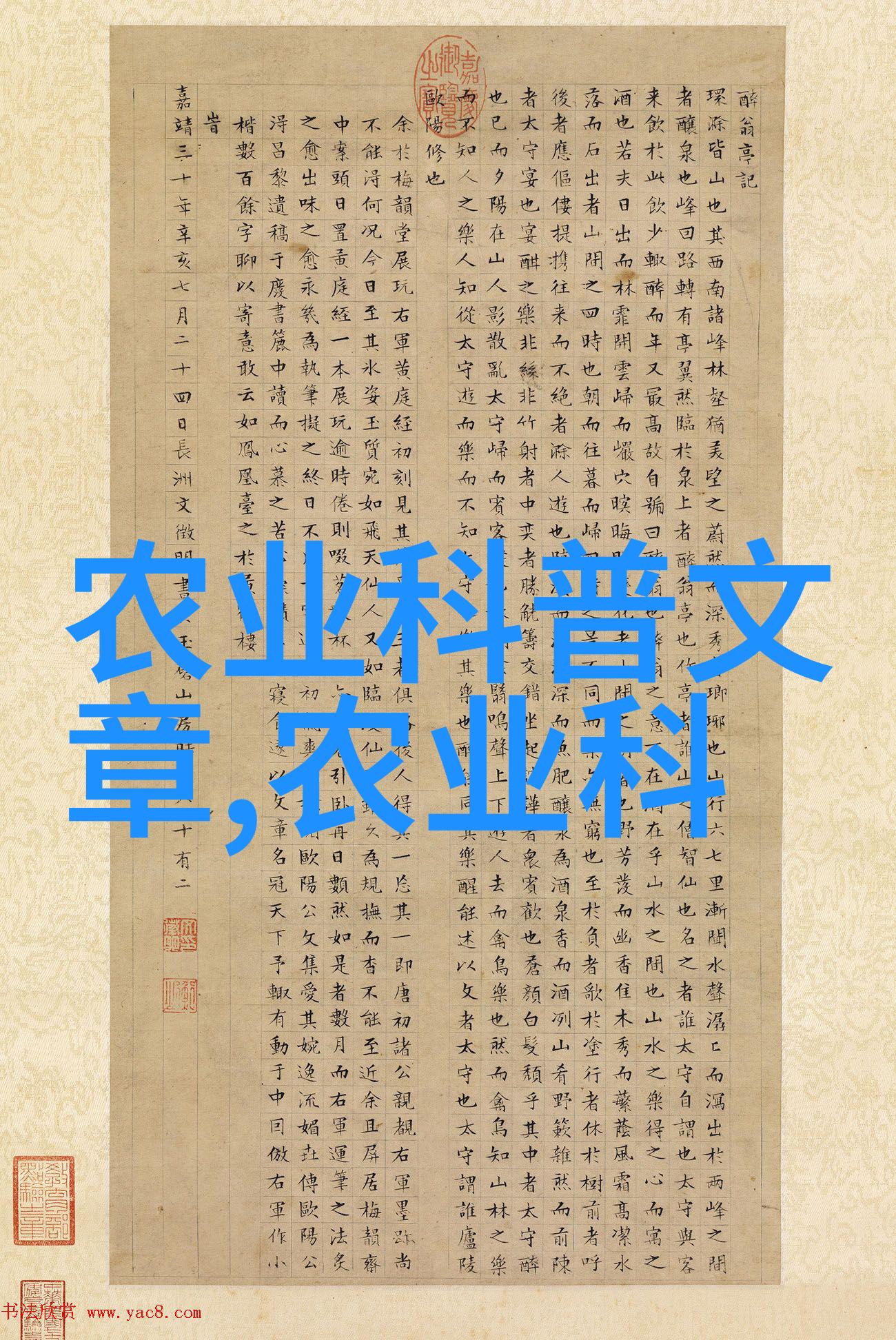 孩子的试探与母爱的回应