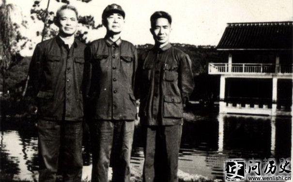 传统泡茶技艺与现代创新方法对比