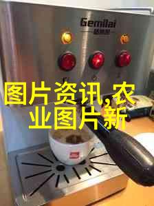 大豆的健康益处与烹饪技巧