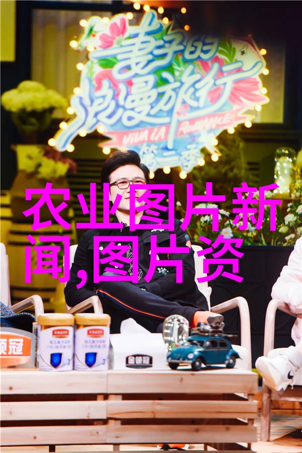 金线莲栽培技巧全解析从播种到收获的精彩视频指南