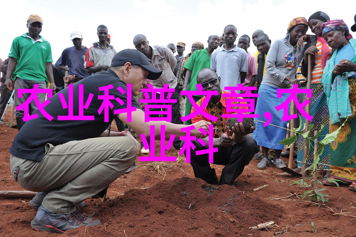 教师队伍建设方面学校采取了哪些措施来确保教学质量
