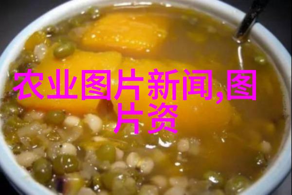 牛仔的智慧揭秘养牛所需的关键技术与知识