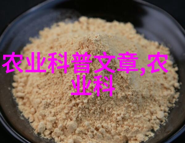 奢华语韵探索奢字的读音与文化背后