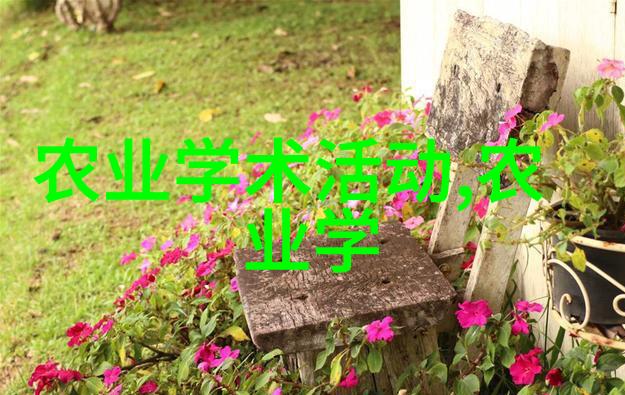 哈尔滨花卉种植基地春城绿意盎然的园艺奇迹