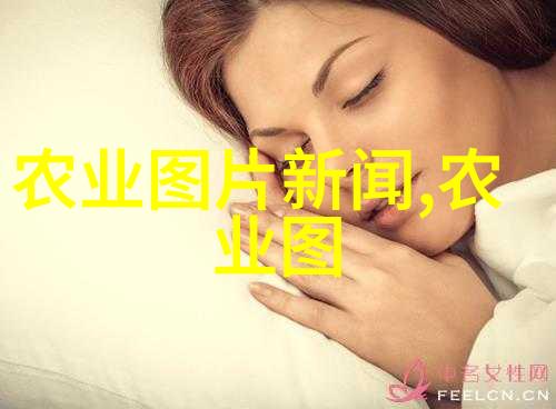 温暖的梅子轻松种植的艺术