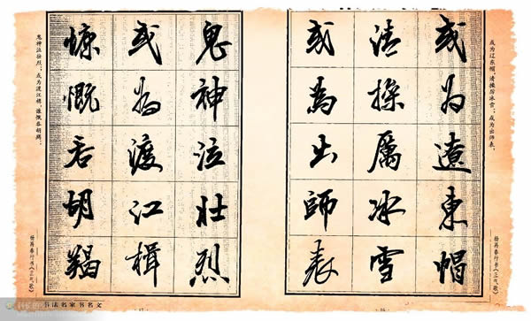 传承中医文化开设免费药材种苗基地