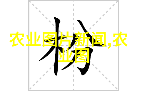 秸秆收割机的新时代高效打捆技术革新