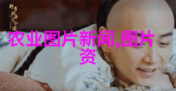 哪些因素决定了一个神奇养蜂计划的成功与失败