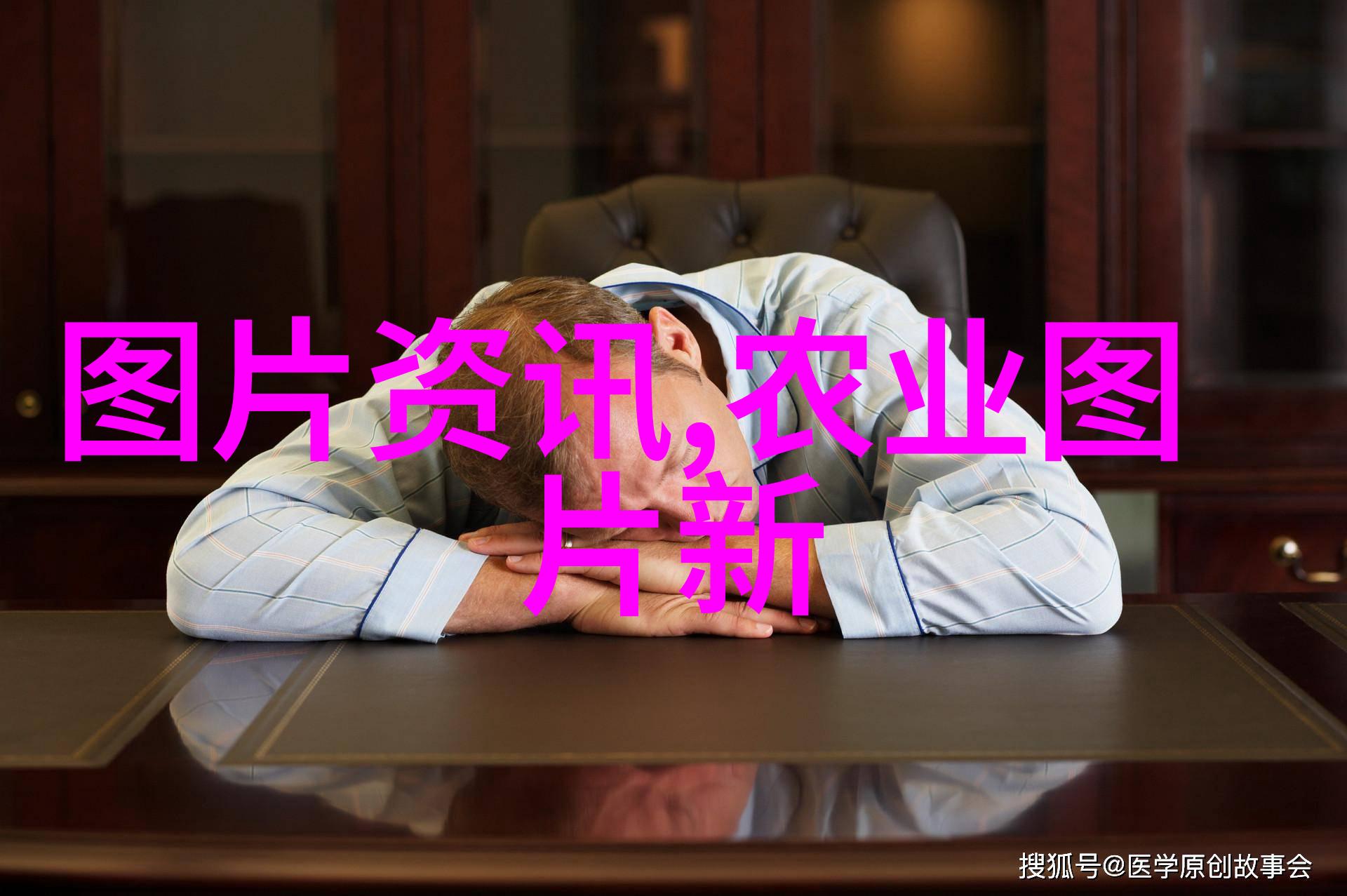 守护生态共创未来环保型蜜蜂养殖经验分享