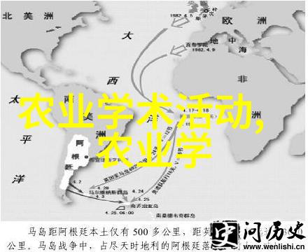我来告诉你品味经典一壶一杯了解传统名茶