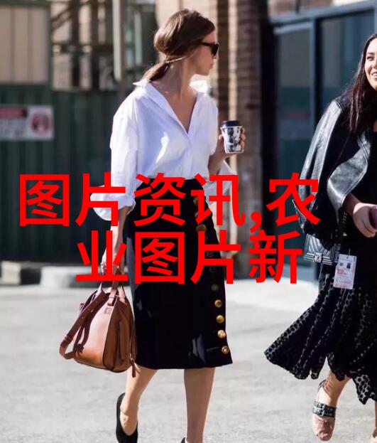 从零到英雄无土栽培技术的奇迹之旅