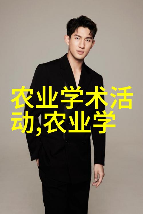 建筑工地常用小型机械设备小型挖掘机平地机压路机等