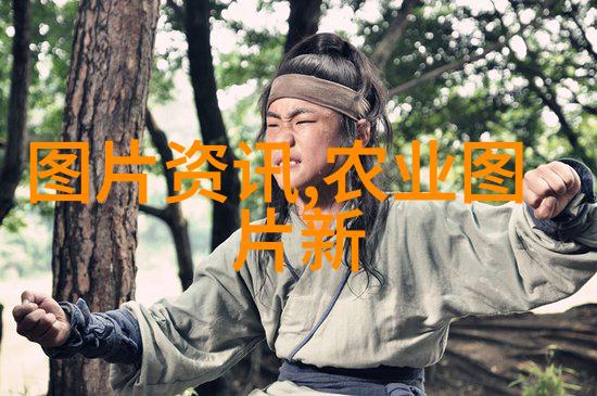 有哪些经济实惠且易于管理的中药材可以种植