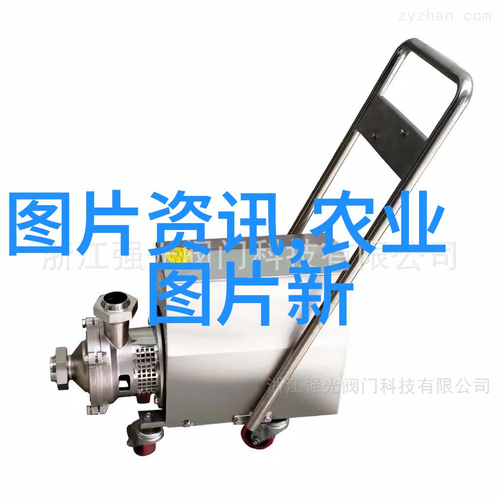 蔬香满园大棚种植的艺术与智慧