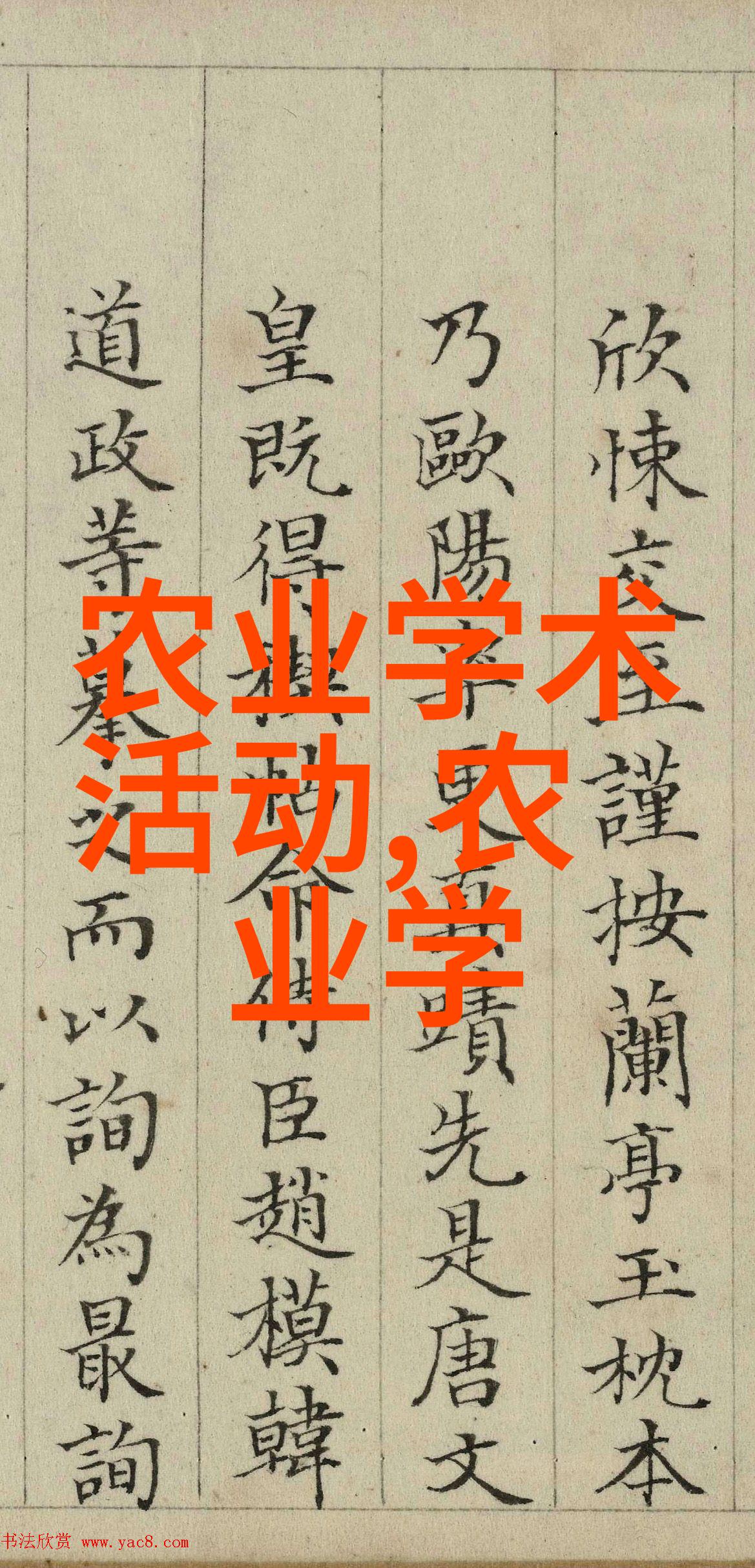 鸡爪槭的价格为12公分探究其在园艺中的应用价值与市场需求